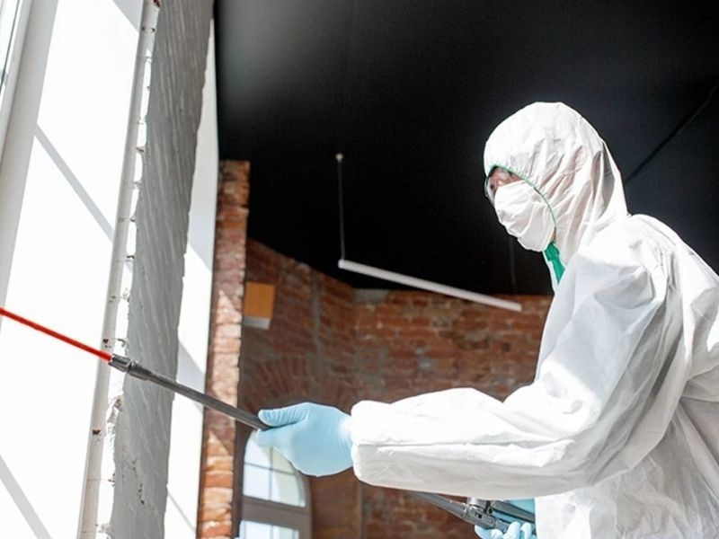 Sakarya’da Haşere İlaçlama Ne Zaman Yapılmalı? Mevsime Göre En Etkili İlaçlama Rehber...