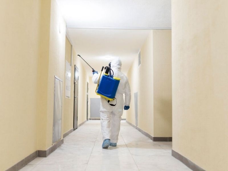 Otel, Bungalov ve Turizm İşletmeleri İçin İlaçlama Neden Şarttır?